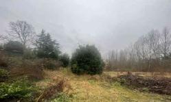 immobile terreno all'asta in Via Flavia di Stramare n137/a - 34015 Muggia (TS) - 1