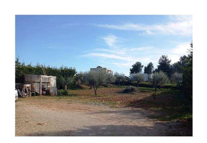 immobile villa all'asta in c/da VITUSO - 93015 Niscemi (CL) - 5