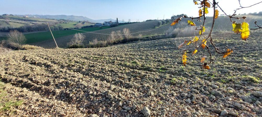 immobile appartamento all'asta in Località Salette- Frazione Ponzano - 64010 Civitella del Tronto (TE) - 2