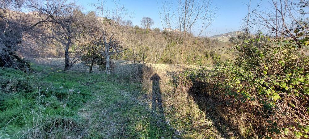 immobile appartamento all'asta in Località Salette- Frazione Ponzano - 64010 Civitella del Tronto (TE) - 4