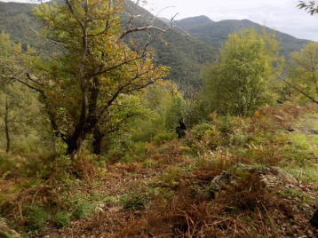 immobile terreno all'asta in Contrada S Lorenzo, 84096 Montecorvino Rovella SA, Italia Montecorvino Rovella, Salerno - 3
