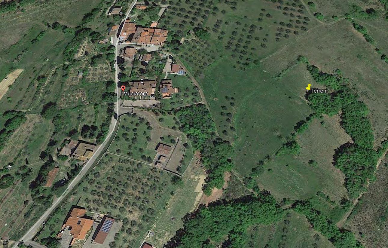 immobile terreno all'asta in Localita' Muciafora - 52100 Arezzo (AR) - 1