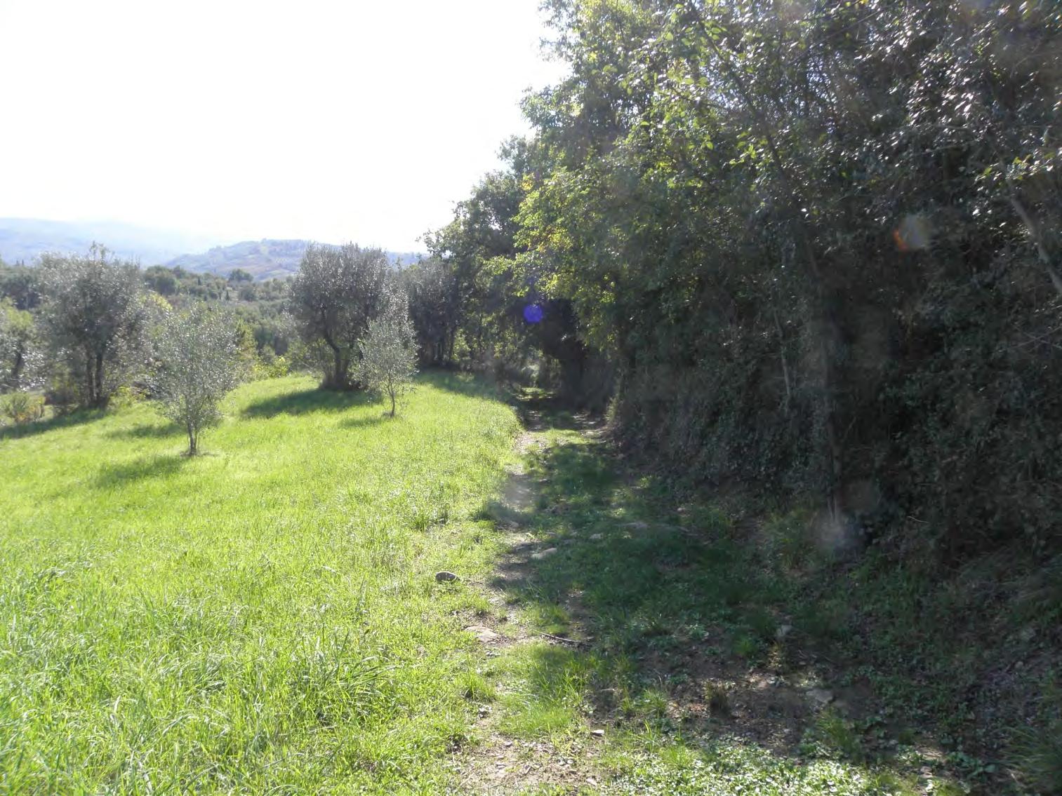 immobile terreno all'asta in Localita' Muciafora - 52100 Arezzo (AR) - 2