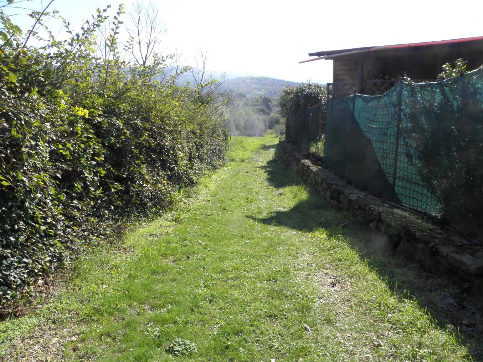 immobile terreno all'asta in Localita' Muciafora - 52100 Arezzo (AR) - 3
