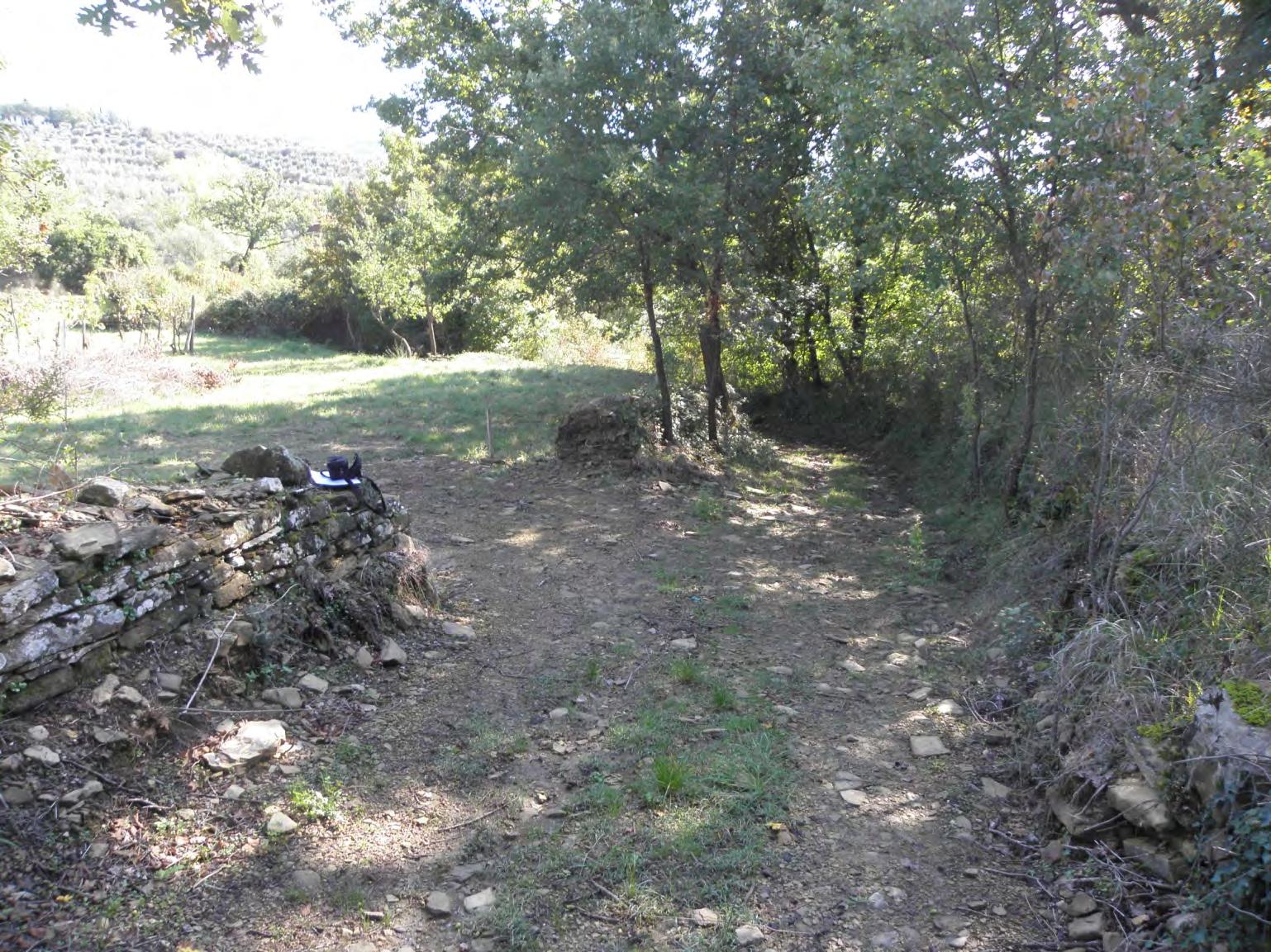 immobile terreno all'asta in Localita' Muciafora - 52100 Arezzo (AR) - 4