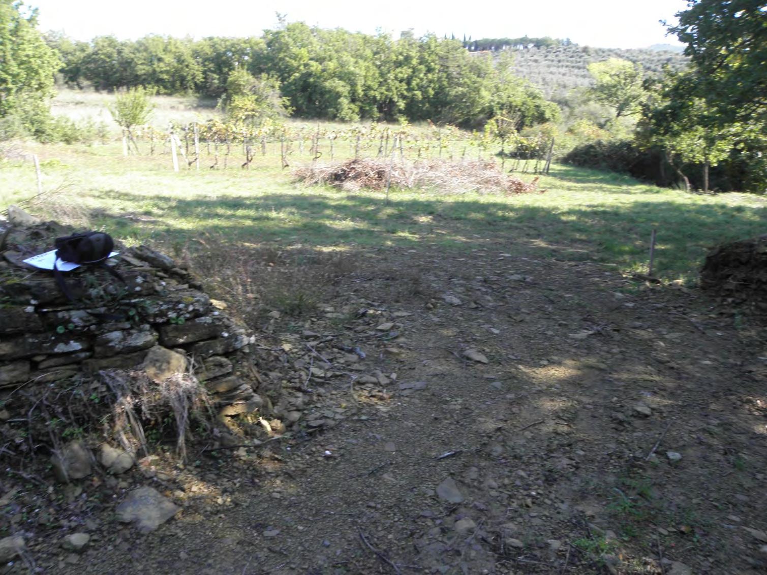 immobile terreno all'asta in Localita' Muciafora - 52100 Arezzo (AR) - 5