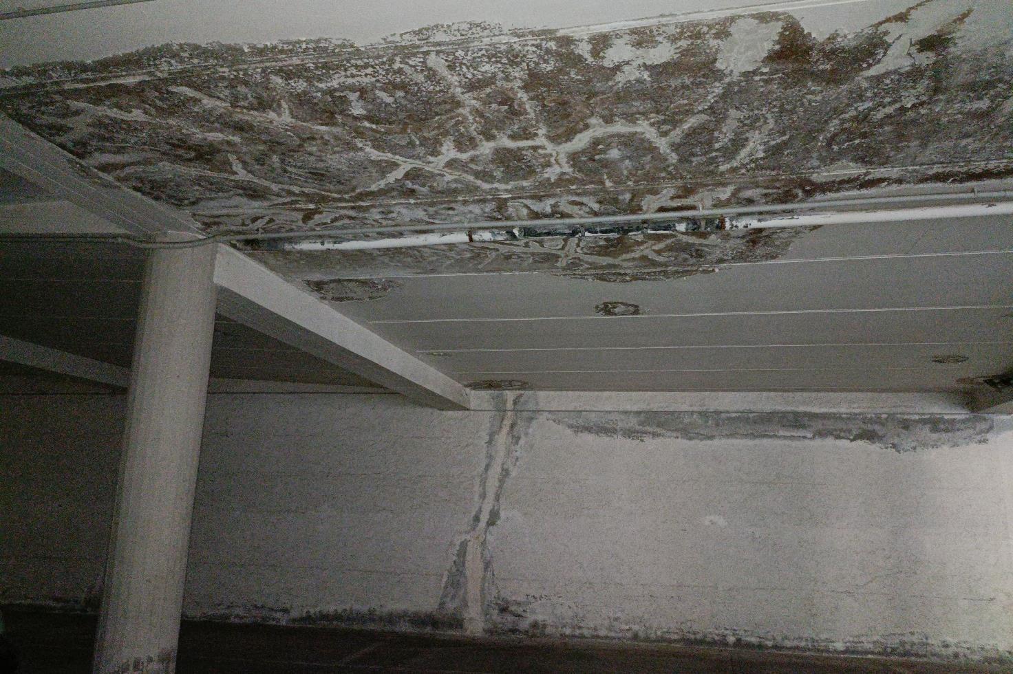 immobile appartamento all'asta in Via Bechi Luserna, 08015 Macomer NU, Italia Macomer, Nuoro - 5