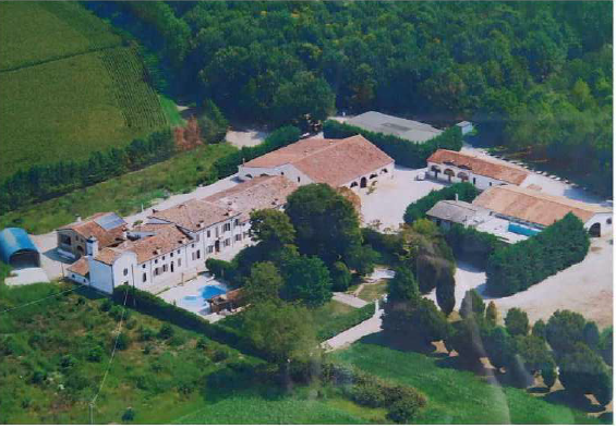 immobile terreno all'asta in Strada Ostigliese,38 - 46100 Mantova (MN) - 1
