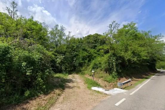immobile terreno all'asta in regione guado, n snc - 13866 Masserano (BI) - 1