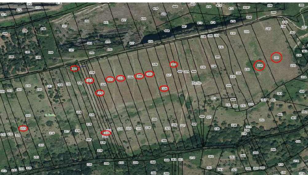 immobile terreno all'asta in CDA SAN PIETRO - 85022 Barile (PZ) - 2