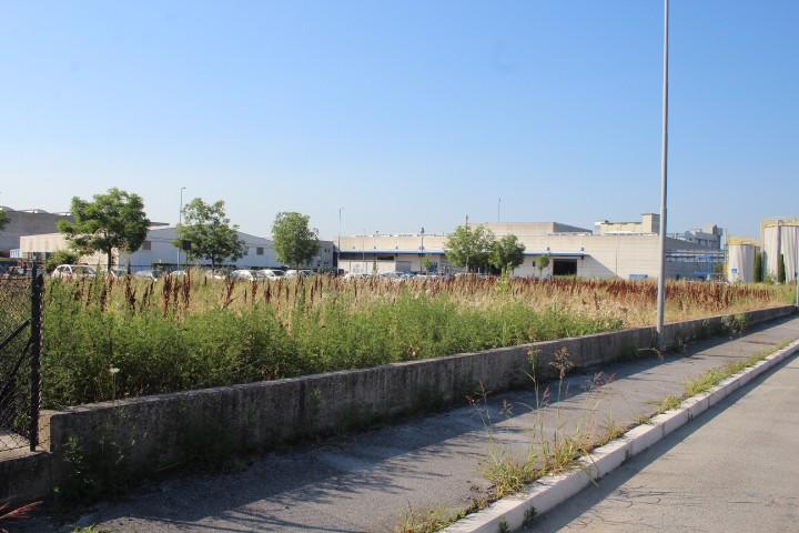 immobile terreno all'asta in Via dell' Industria, 47020 Longiano FC, Italia Longiano, Forlì-Cesena - 3