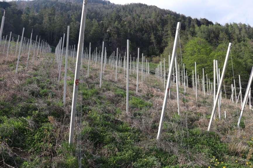 immobile rustico all'asta in Via Monte Sole, 70, 39025 Naturno BZ, Italia Naturno/Naturns, Bolzano - 2