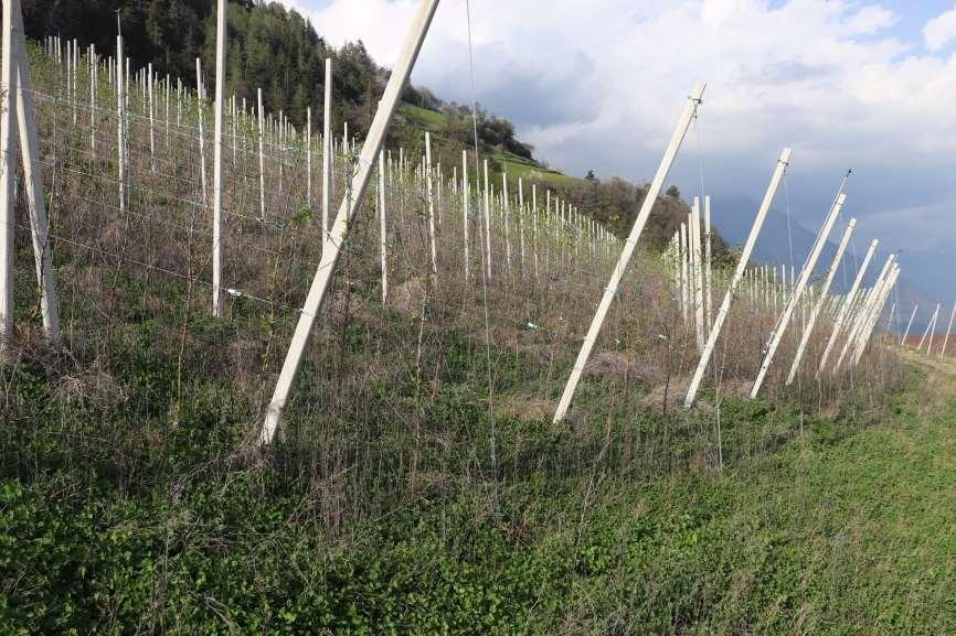 immobile rustico all'asta in Via Monte Sole, 70, 39025 Naturno BZ, Italia Naturno/Naturns, Bolzano - 3