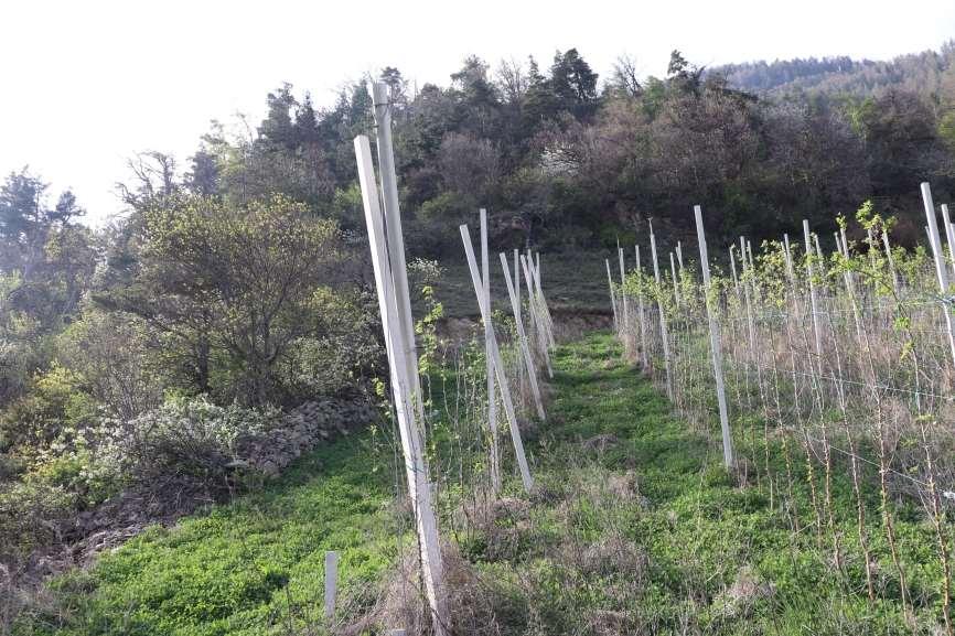 immobile rustico all'asta in Via Monte Sole, 70, 39025 Naturno BZ, Italia Naturno/Naturns, Bolzano - 4