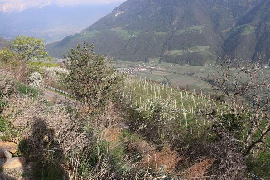 immobile rustico all'asta in Via Monte Sole, 70, 39025 Naturno BZ, Italia Naturno/Naturns, Bolzano - 5