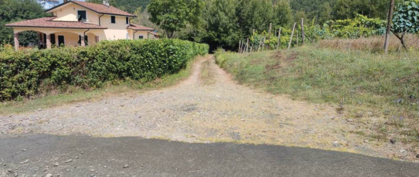 immobile terreno all'asta in Gorasco - 54011 Aulla (MS) - 1