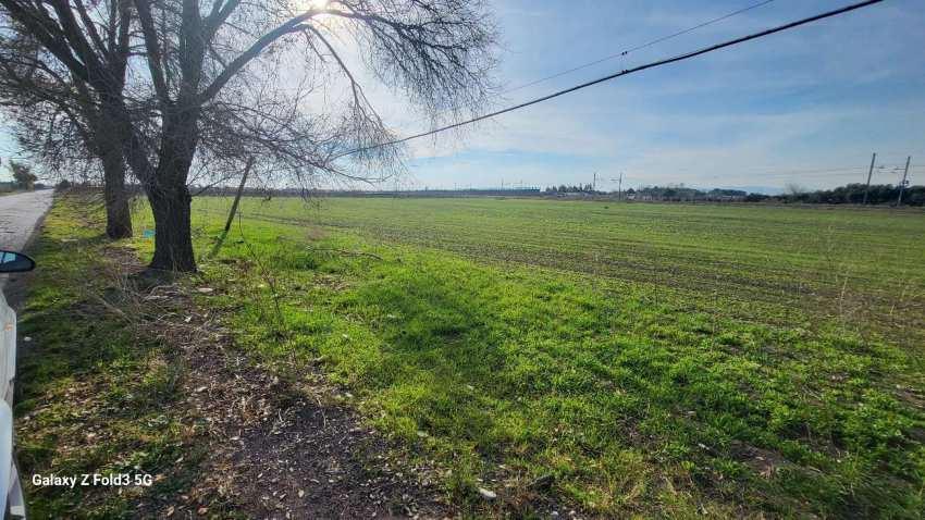immobile terreno all'asta in Strada Poderale Foggia - Ordona - 71121 Foggia (FG) - 1