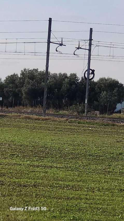 immobile terreno all'asta in Strada Poderale Foggia - Ordona - 71121 Foggia (FG) - 4