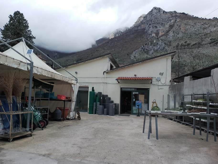 immobile appartamento all'asta in Via Francesco Lucenteforte - 86079 Venafro (IS) - 5