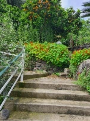 immobile attivita commerciale all'asta in SP270, 3, 80077 Ischia NA, Italia Ischia, Napoli - 4