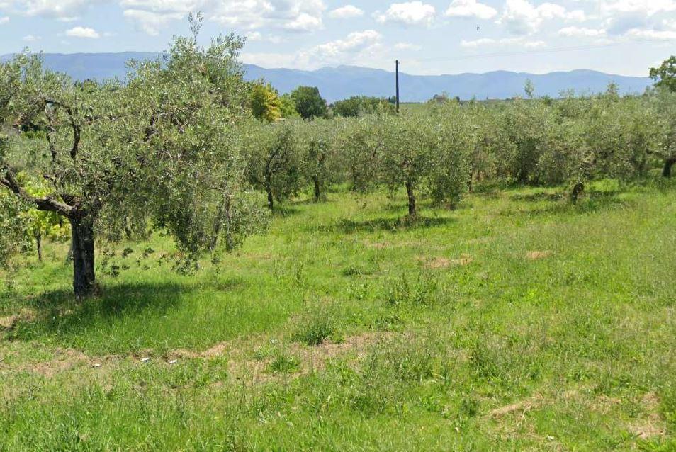 immobile terreno all'asta in Fabbri, 06030 Giano dell'Umbria PG, Italia Giano Dell'Umbria, Perugia - 2