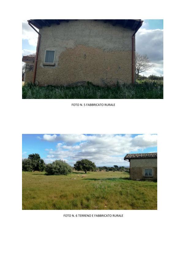 immobile terreno all'asta in c/da Noce snc - 95041 Caltagirone (CT) - 3