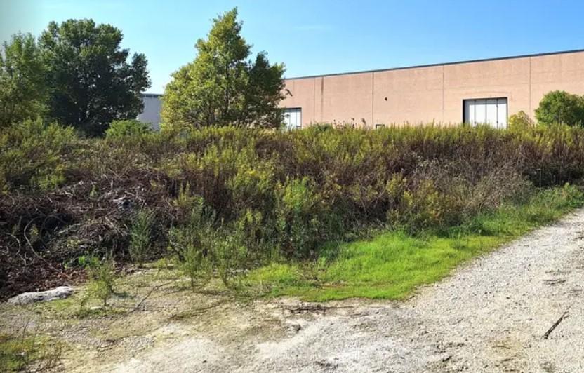immobile terreno all'asta in via marinucci, n snc - 62019 Recanati (MC) - 1