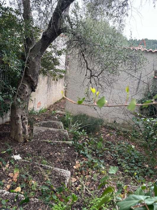 immobile appartamento all'asta in 71019 Vieste FG, Italia località Rucci Cupari snc Vieste, Foggia - 5