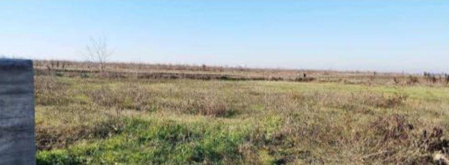 immobile terreno all'asta in Via Valter Brunelli - 37054 Nogara (VR) - 1