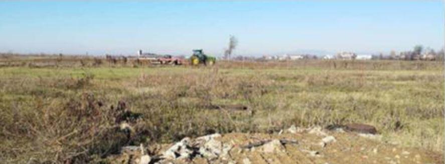 immobile terreno all'asta in Via Valter Brunelli - 37054 Nogara (VR) - 3