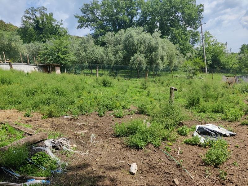 immobile appartamento all'asta in Via Colleolivo, 42, 03032 Arce FR, Italia Arce, Frosinone - 2