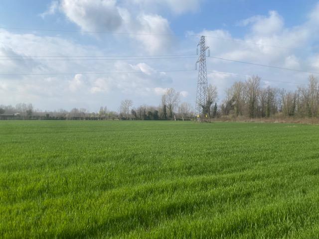 immobile terreno all'asta in Via S Michele Vecchio - 30020 Quarto d'Altino (VE) - 1