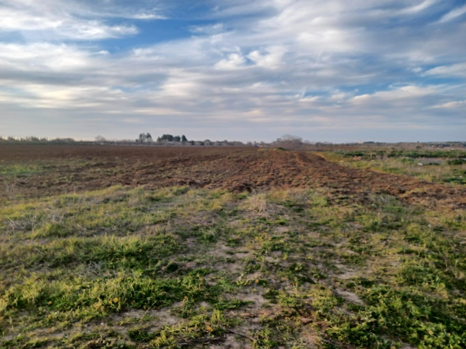 immobile terreno all'asta in Contrada Petrore Monaci - Cutrofiano (LE) - 1