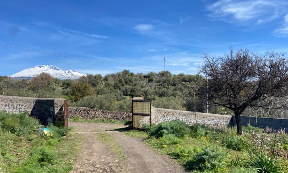 immobile villa all'asta in VIA CAIROLI N105 - 95032 Belpasso (CT) - 3