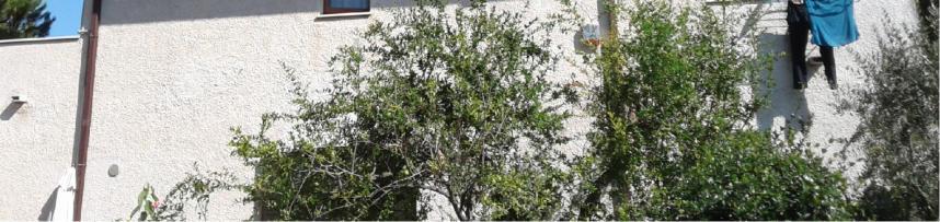 immobile appartamento all'asta in Via Viale Gran Sasso angolo Via ZIttola 24 - 66023 Francavilla al Mare (CH) - 3