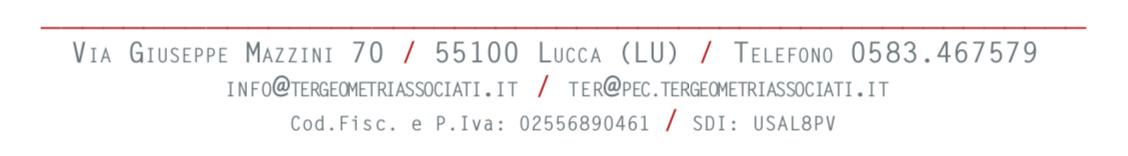 immobile terreno all'asta in Via Generale Carlo Alberto Dalla Chiesa, 55047 Querceta LU, Italia - 55033 Seravezza (LU) - 2