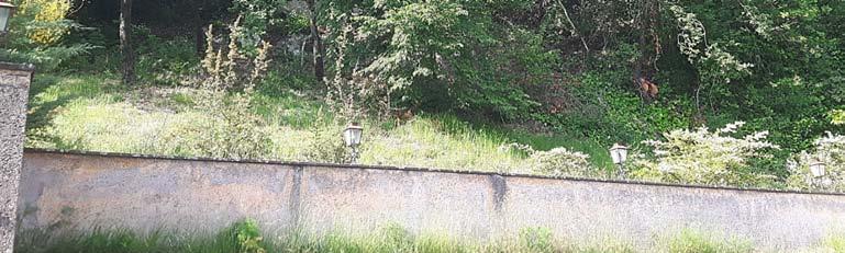 immobile villa all'asta in Via Valle dal Colle Strada Regionale - (FR) - 1
