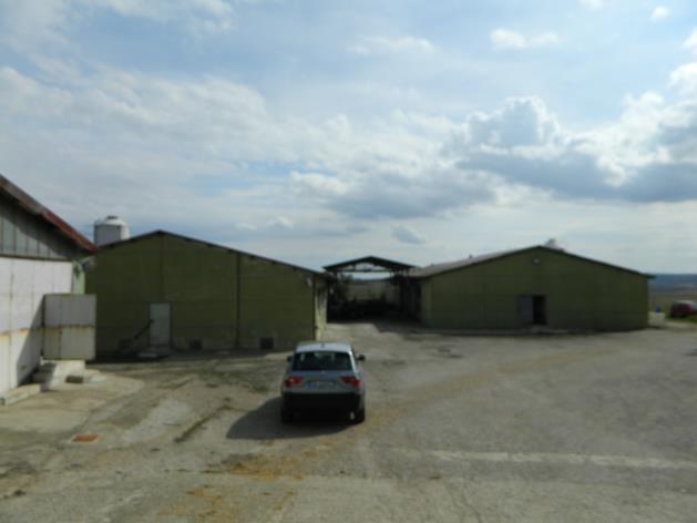 immobile attivita commerciale all'asta in C/da Grottapiana - 85029 Venosa (PZ) - 4