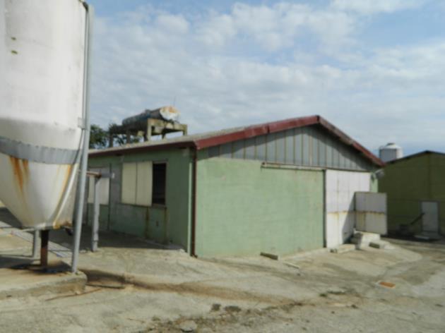 immobile attivita commerciale all'asta in C/da Grottapiana - 85029 Venosa (PZ) - 5