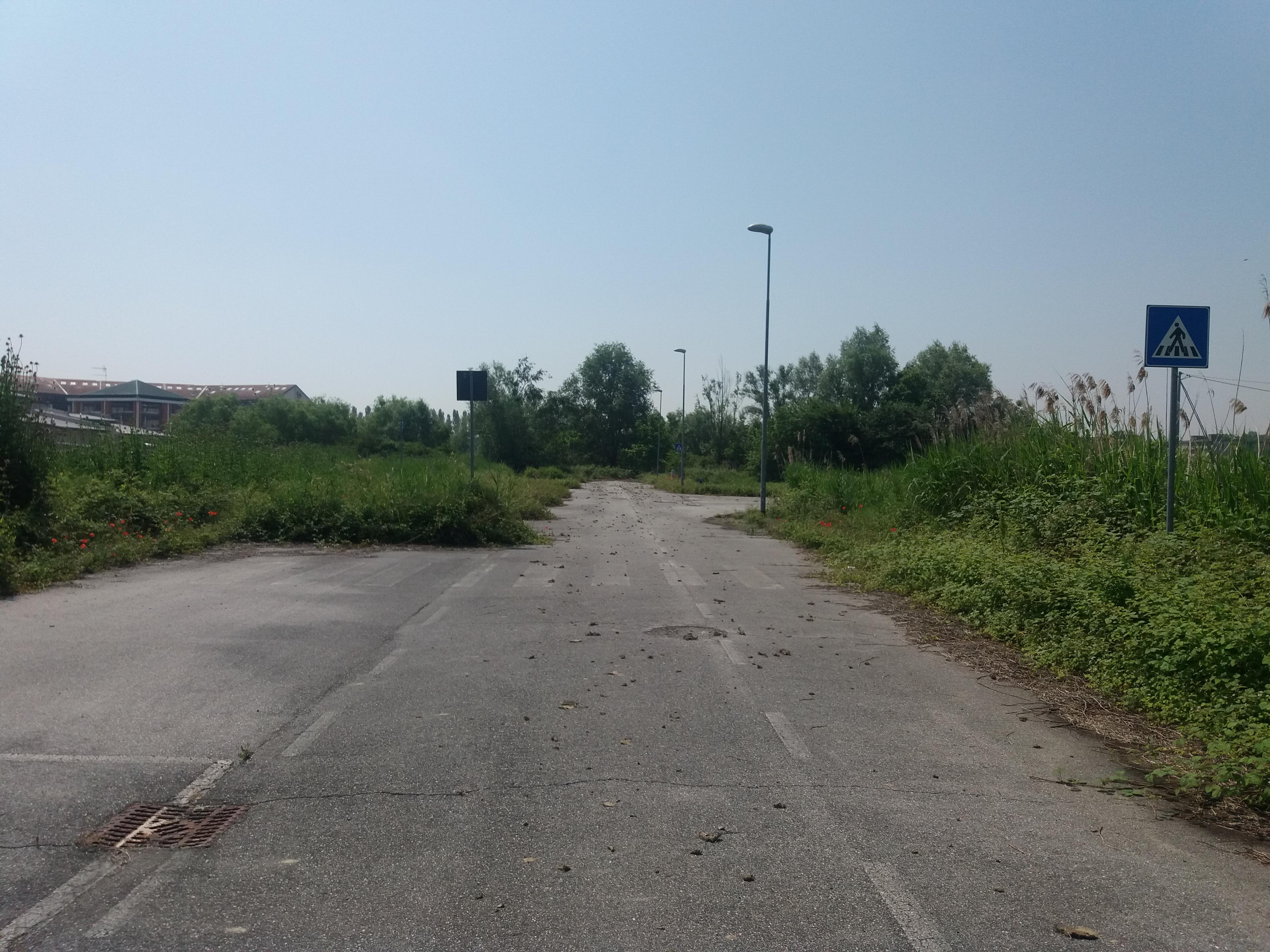 immobile terreno all'asta in Viale Europa - 46029 Suzzara (MN) - 1