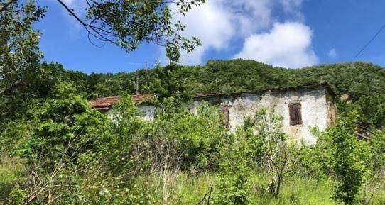immobile casa singola all'asta in localita' Poggio di Sotto - 43050 Valmozzola (PR) - 1
