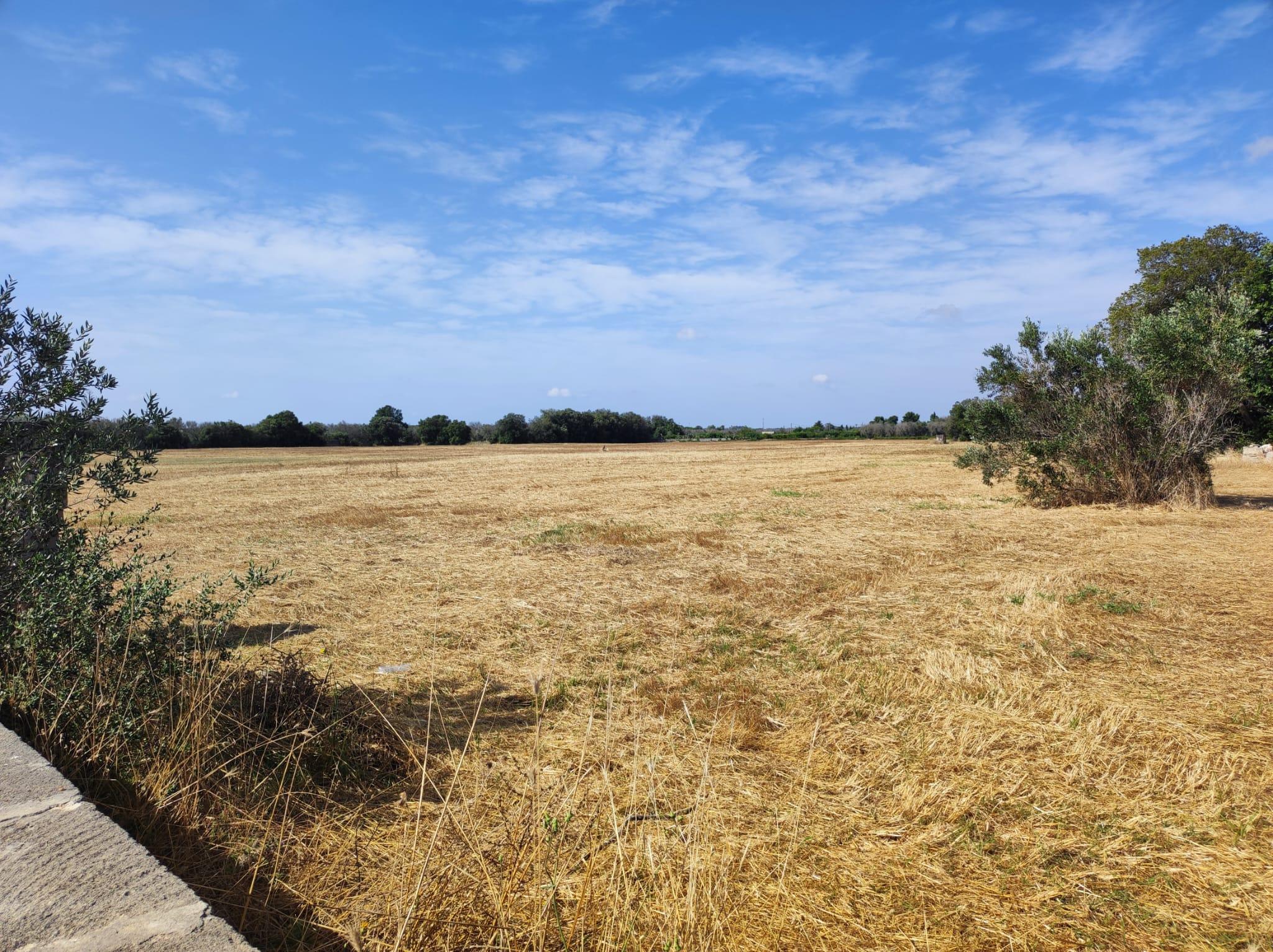 immobile rustico all'asta in 73020 Castri di Lecce (LE) - 5