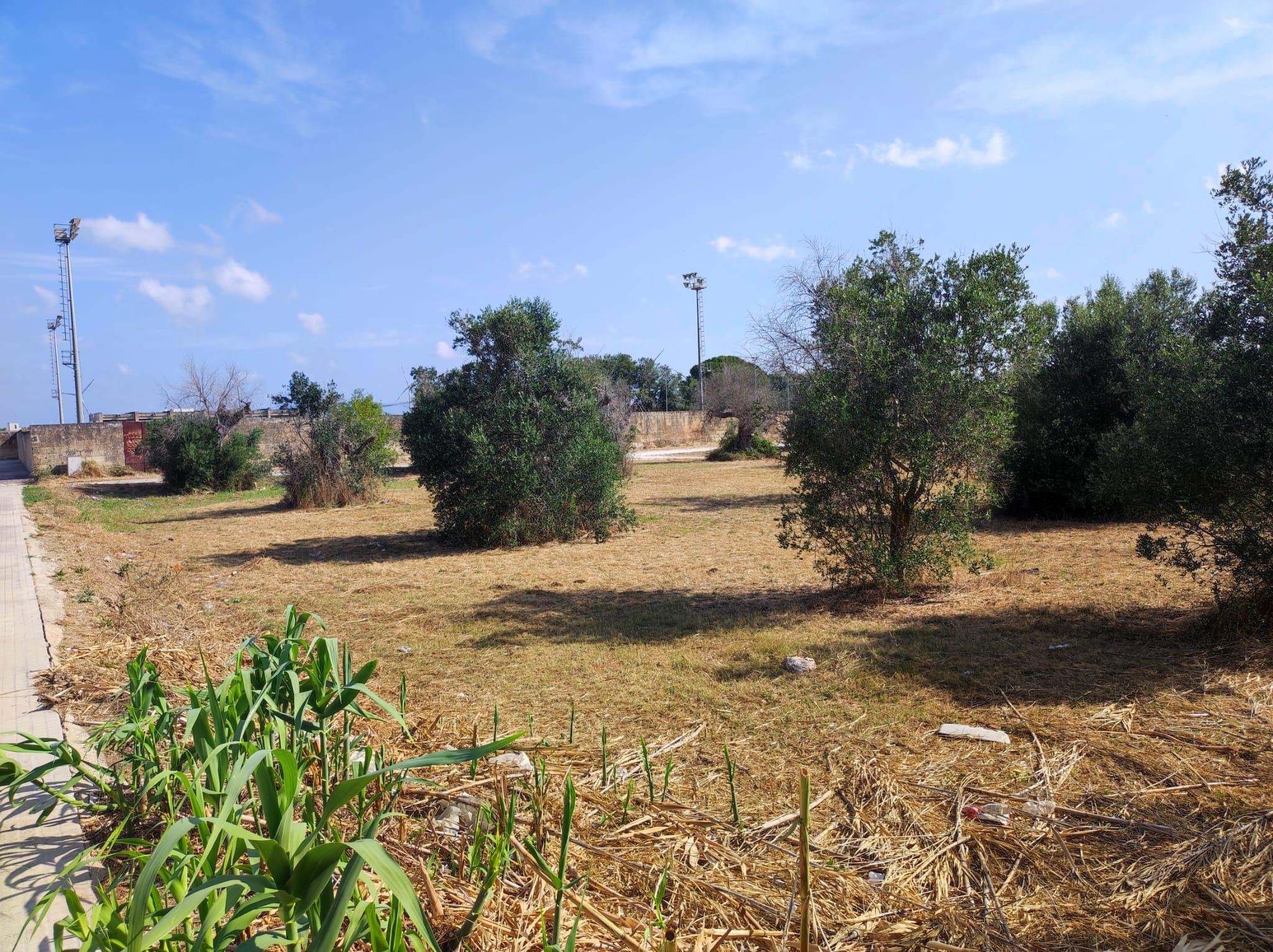 immobile rustico all'asta in VIA DANTE ALIGHIERI - 73020 Castri di Lecce (LE) - 1
