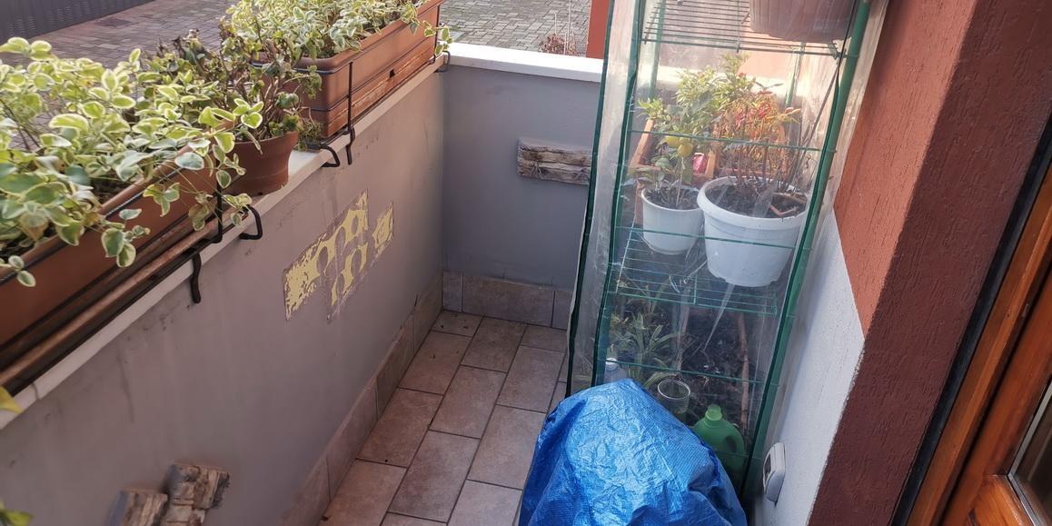 immobile appartamento all'asta in Via Alberto da Giussano, 7, 20812 Limbiate MB, Italia Limbiate, Monza e della Brianza - 4