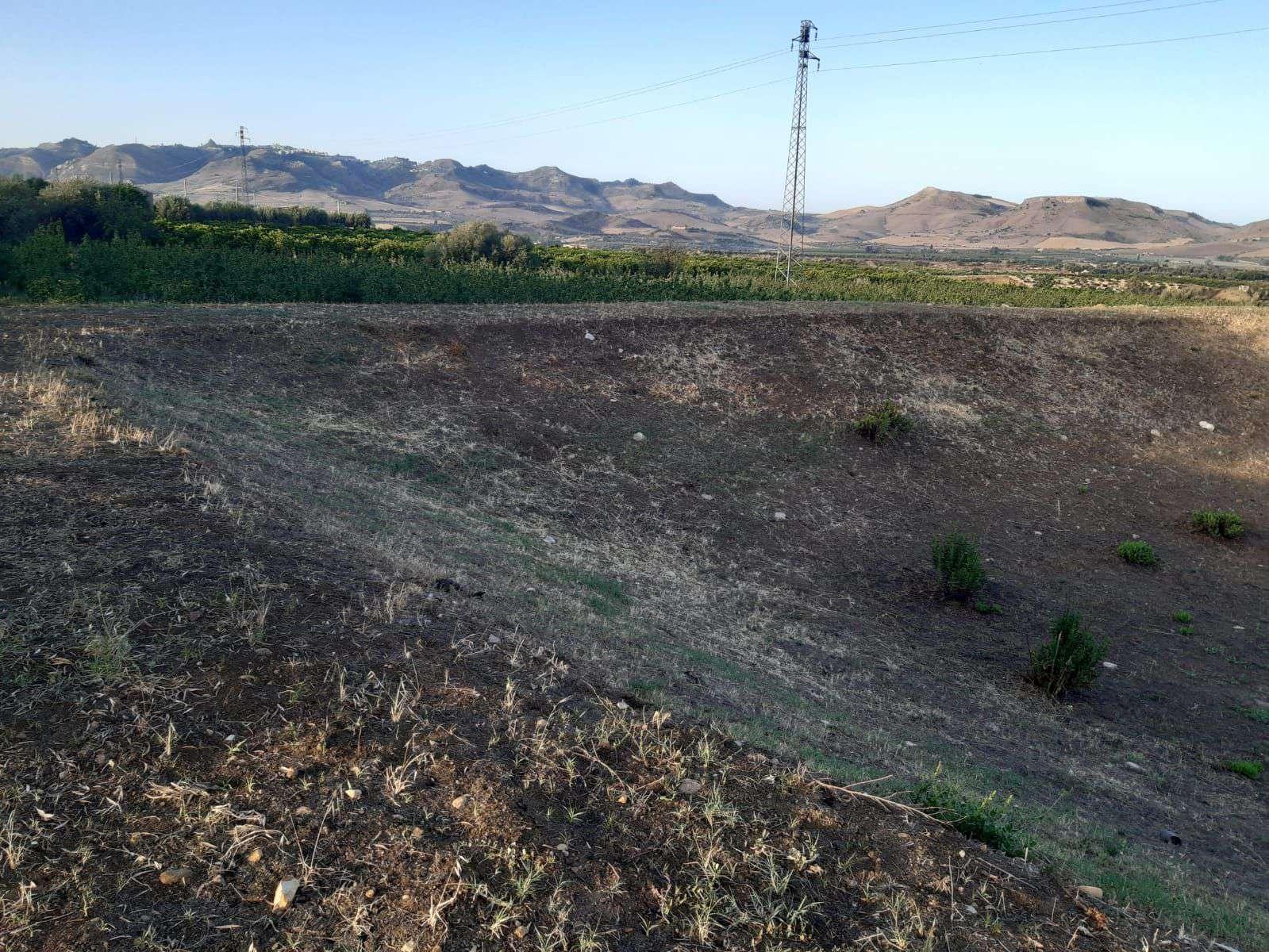 immobile terreno all'asta in Contrada Cugno di Carcaci sn - 94010 Centuripe (EN) - 5