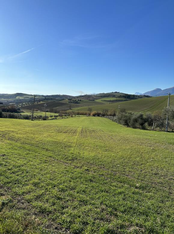 immobile terreno all'asta in Via  - 63031 Appignano del Tronto (AP) - 4