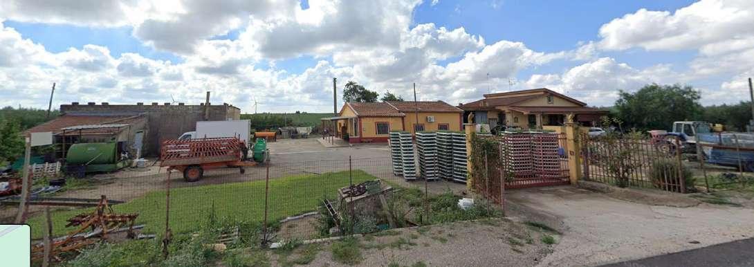 immobile attivita commerciale all'asta in SP95, Cerignola FG, Italia Cerignola, Foggia - 4