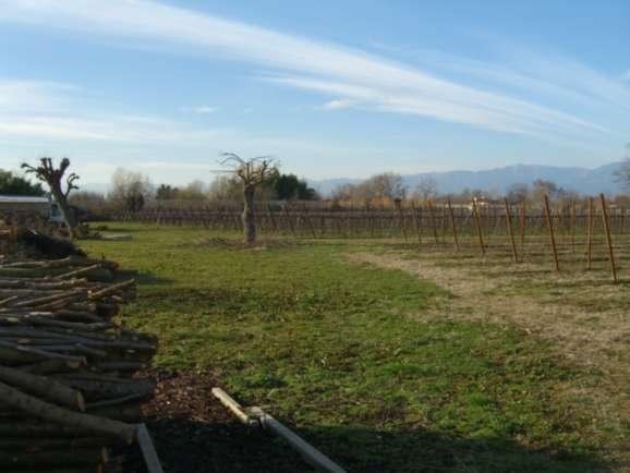 immobile terreno all'asta in località Vallonto, Via Sali - 31043 Fontanelle (TV) - 4