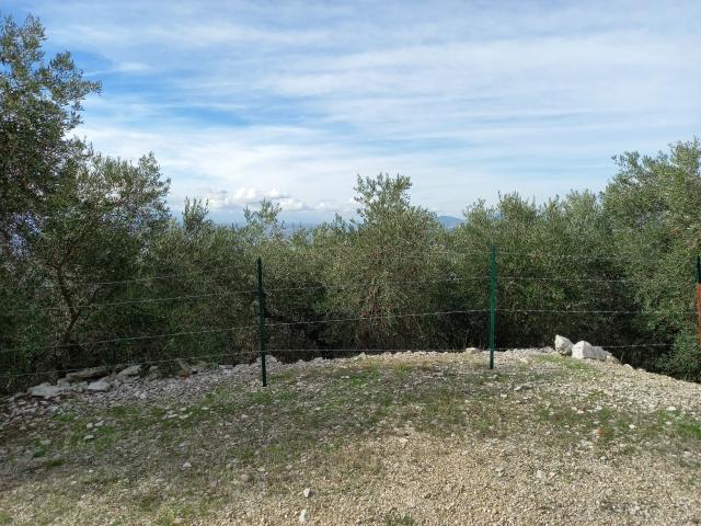 immobile terreno all'asta in Via Monte della Pietà, 04010 Sonnino LT, Italia Sonnino, Latina - 5