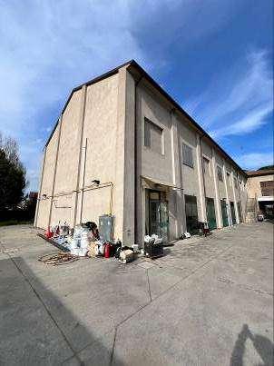immobile attivita commerciale all'asta in Consandolo, Via di Mezzo, 10/B - 44011 Argenta (FE) - 5